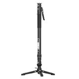  Chân đơn Pineta Pro Carbon Fiber Monopod & FH60S - MQP16260S 