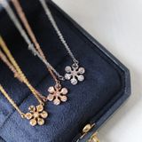  Dây chuyền Titan Hoa tuyết đá 