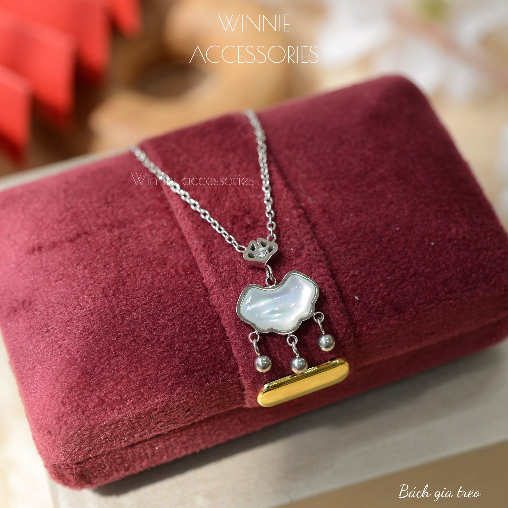  Dây chuyền Titan Bách Gia Treo 