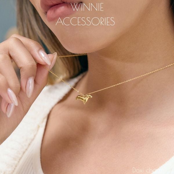  Dây chuyền Titan Doxi charm 