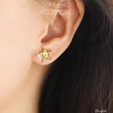  Hoa tai Titan Starfish 