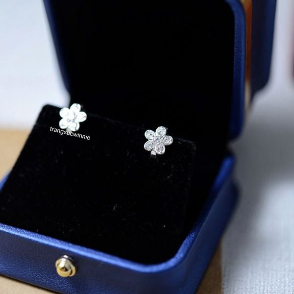  Hoa tai Bạc S925 Khoen Mai 