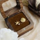  Hoa tai Titan Starfish 