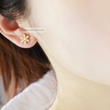  Hoa tai Titan Snowflake 