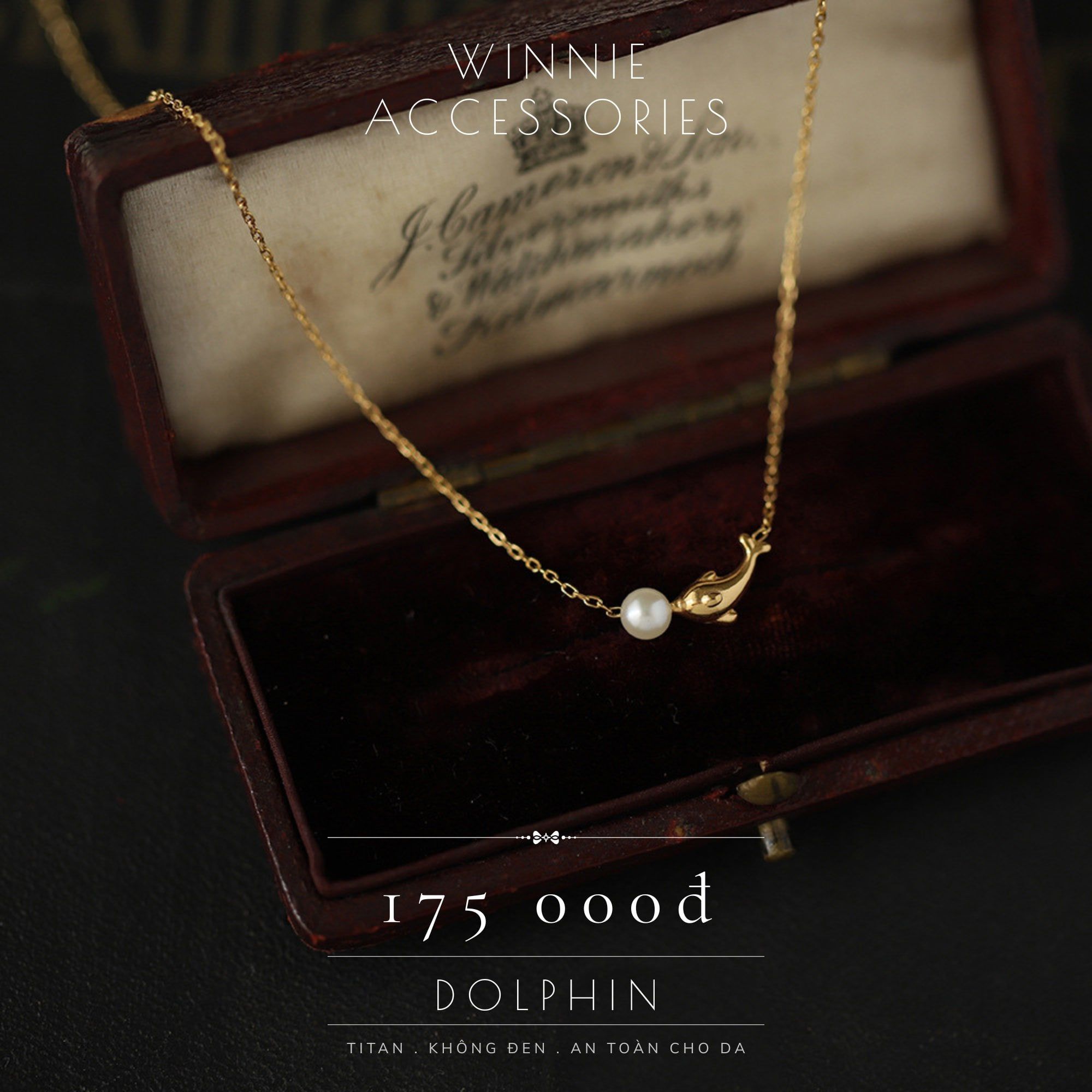  Dây chuyền Titan Dolphin 