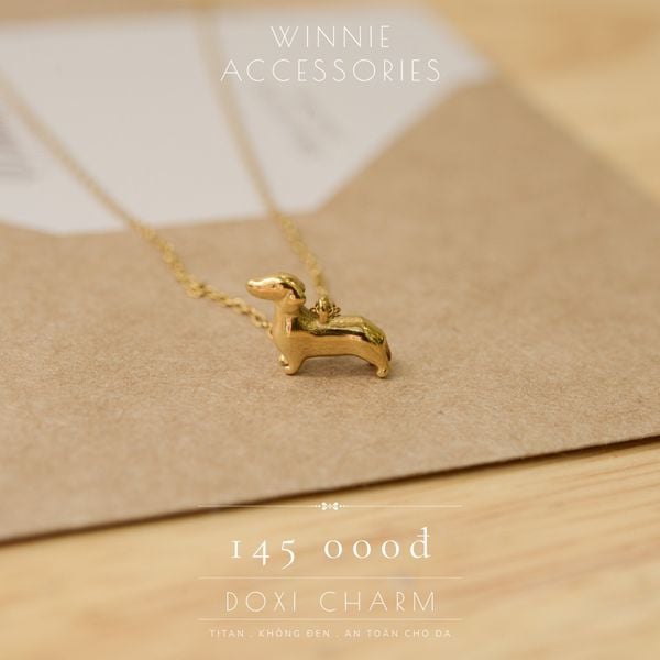  Dây chuyền Titan Doxi charm 