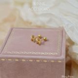  Hoa tai Titan Shiny Flower 