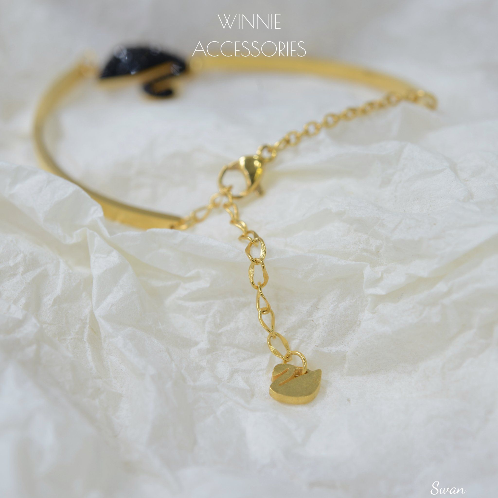  Lắc tay Titan Swan 