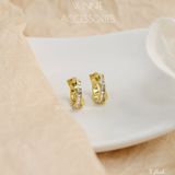  Hoa tai Titan X flash 