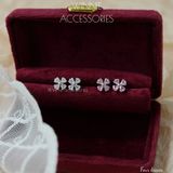  Hoa tai Bạc S925 Four leaves 