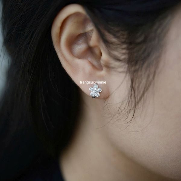  Hoa tai Bạc S925 Khoen Mai 