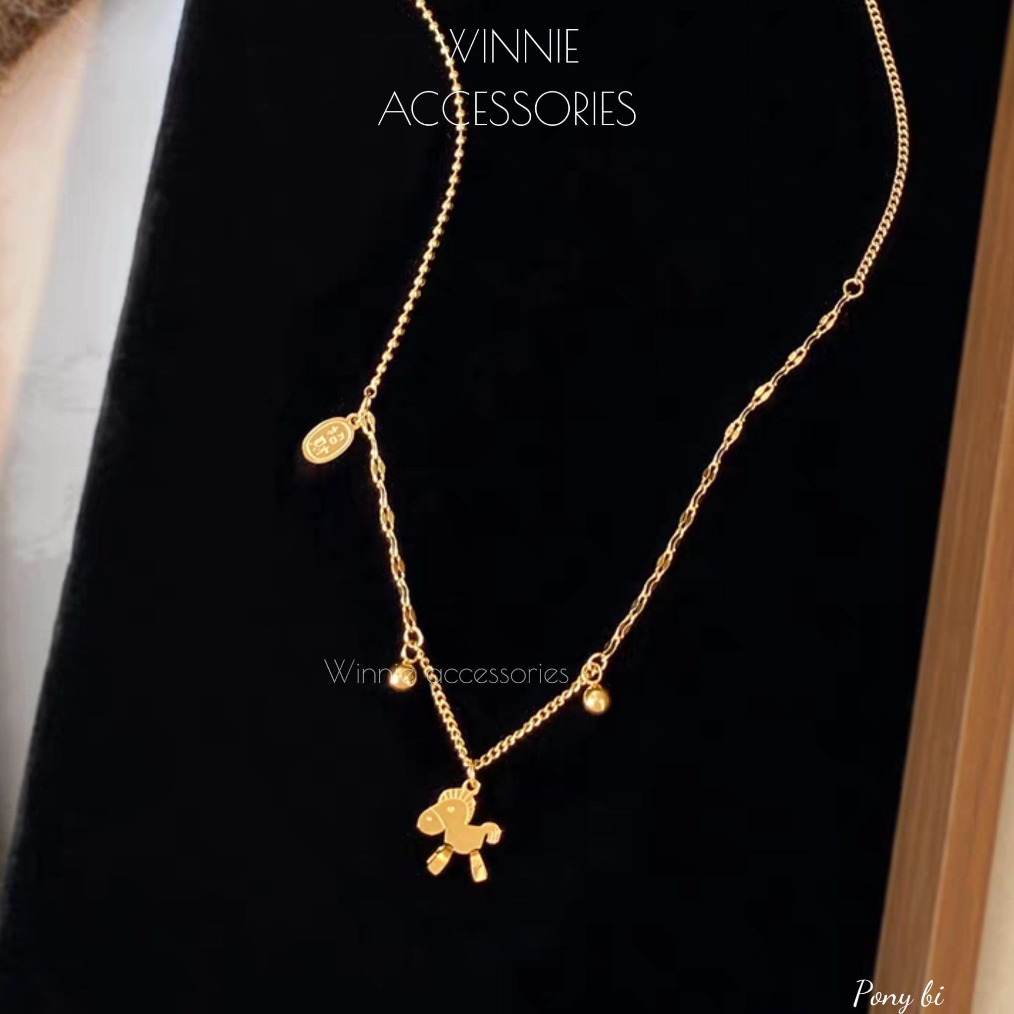  Dây chuyền Titan Pony Bi 