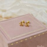  Hoa tai Titan Shiny Flower 