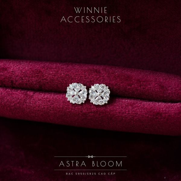  Hoa tai Bạc S925 Astra bloom 