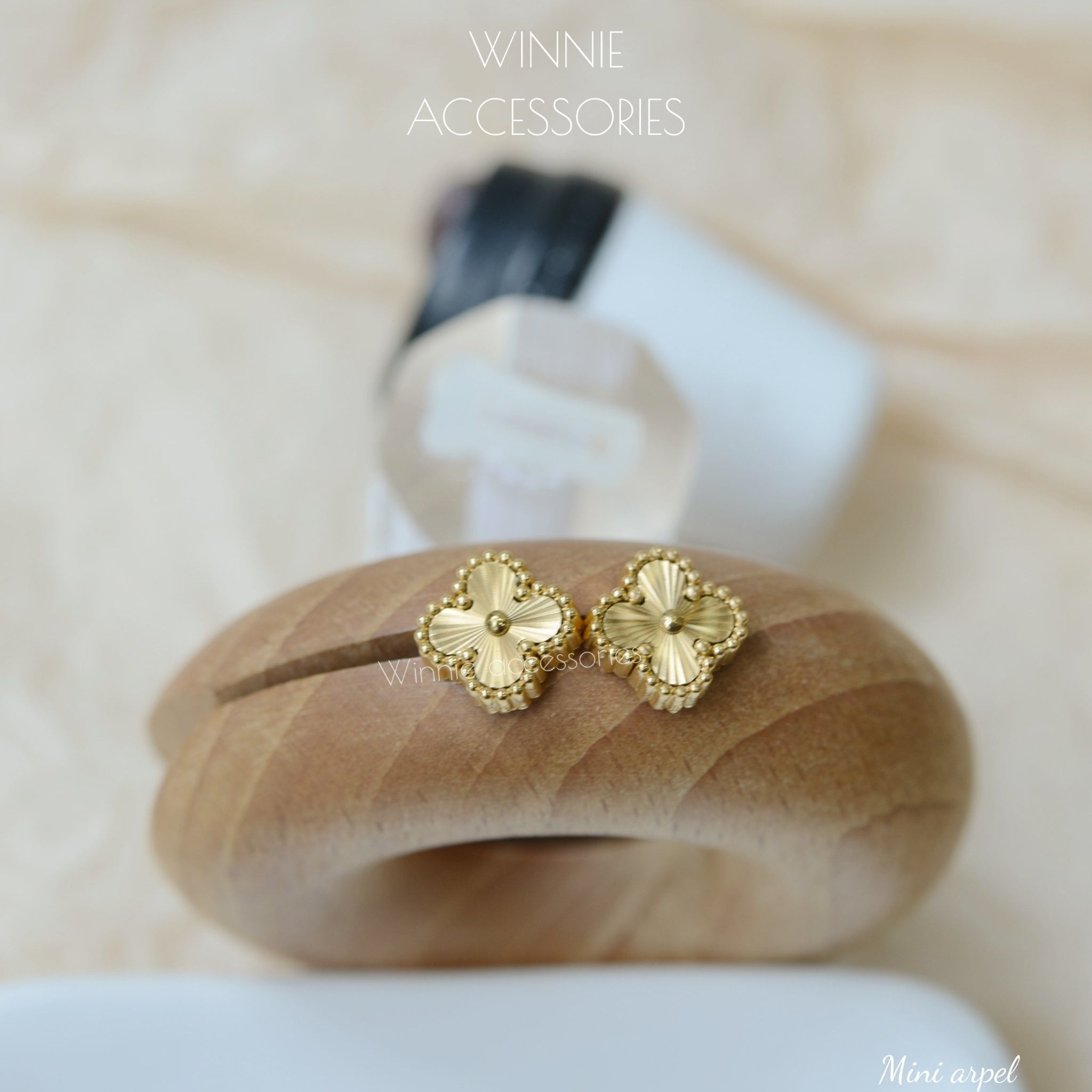  Hoa tai Titan Mini Arpel 