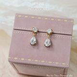  Hoa tai Titan Diamond Dew 