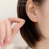  Hoa tai Titan Tim 3D 