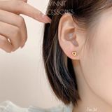  Hoa tai Titan Tim 3D 