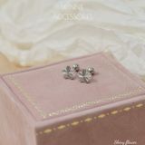  Hoa tai Titan Shiny Flower 