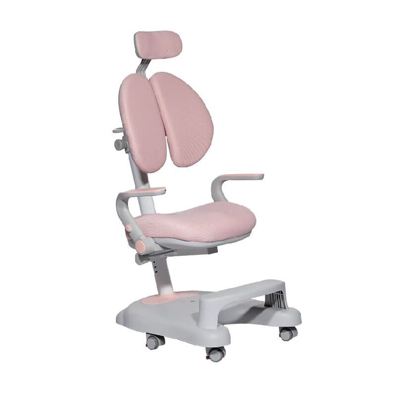 Ghế Học Sinh chống gù GHS51