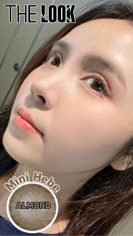 Kính Áp Tròng Mini Hebe – Almond  - HSD 12 tháng