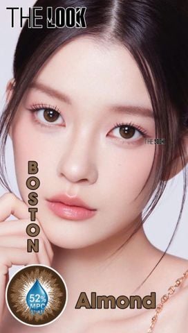 Kính Áp Tròng  Boston – Almond - Dòng MPC - HSD 6 tháng