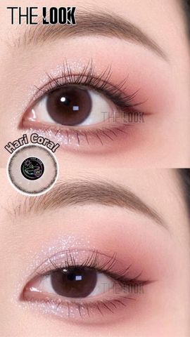 Kính Áp Tròng 1 Ngày  Mini Hari – Coral