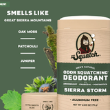  Lăn Khử Mùi Dr. Squatch Sierra Storm Aluminum Free Deodorant 75Gr 