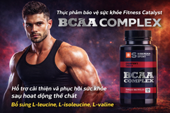 BCAA Cho Người Tập Gym – Tăng Cơ, Phục Hồi Cơ Bắp Nhanh, Tăng Sức Bền
