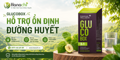 Gluco Box – Hỗ Trợ Ổn Định Đường Huyết, Kiểm Soát Tiểu Đường Hiệu Quả