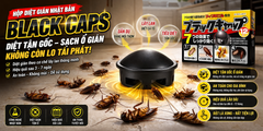Hộp diệt gián Nhật Bản Black caps