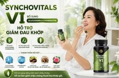 Synchrovitals VI – Tăng Dịch Nhầy Khớp, Giảm Đau Khớp Gối, Bảo Vệ Sụn Khớp