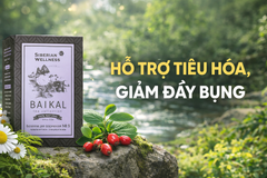 Trà thảo mộc Baikal №5 – Hỗ trợ tiêu hóa, giảm đầy hơi, thanh lọc cơ thể hiệu quả