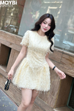 Đầm xòe mini thêu lưới tua rua ngắn tay