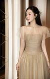 Đầm xòe lưới dáng maxi