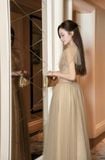 Đầm xòe lưới dáng maxi