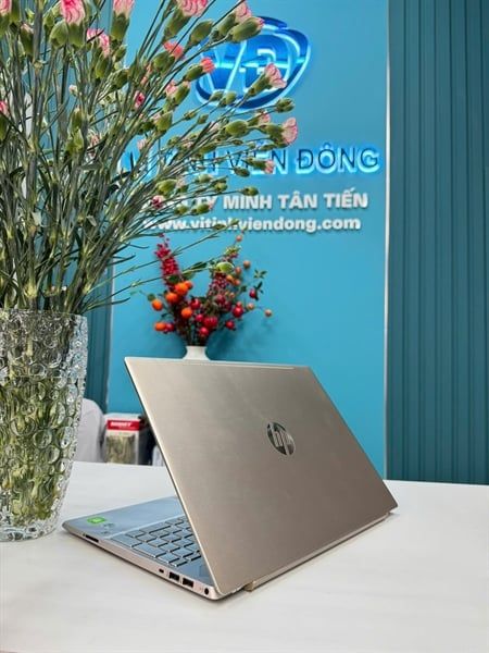 Laptop cũ HP Pavilion 15-cs3xxx (CPU i5-1035G1, Ram 8GB, SSD 256GB, FHD 15.6 inch - 60Hz, MX250 2GB)