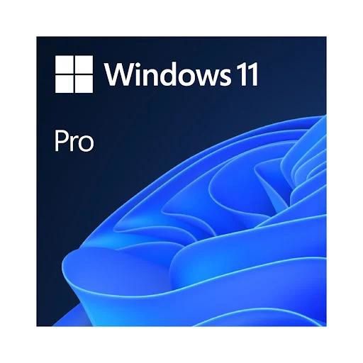 Win Pro FPP 11 64-bit All Lng PK Lic Online DwnLd NR FQC_ 10572 ( Dùng được cả cho máy mới và máy củ , Đổi được qua máy khác khi hư )