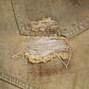  SWE INTERCUT DENIM SHORTS - DUSTED BROWN 