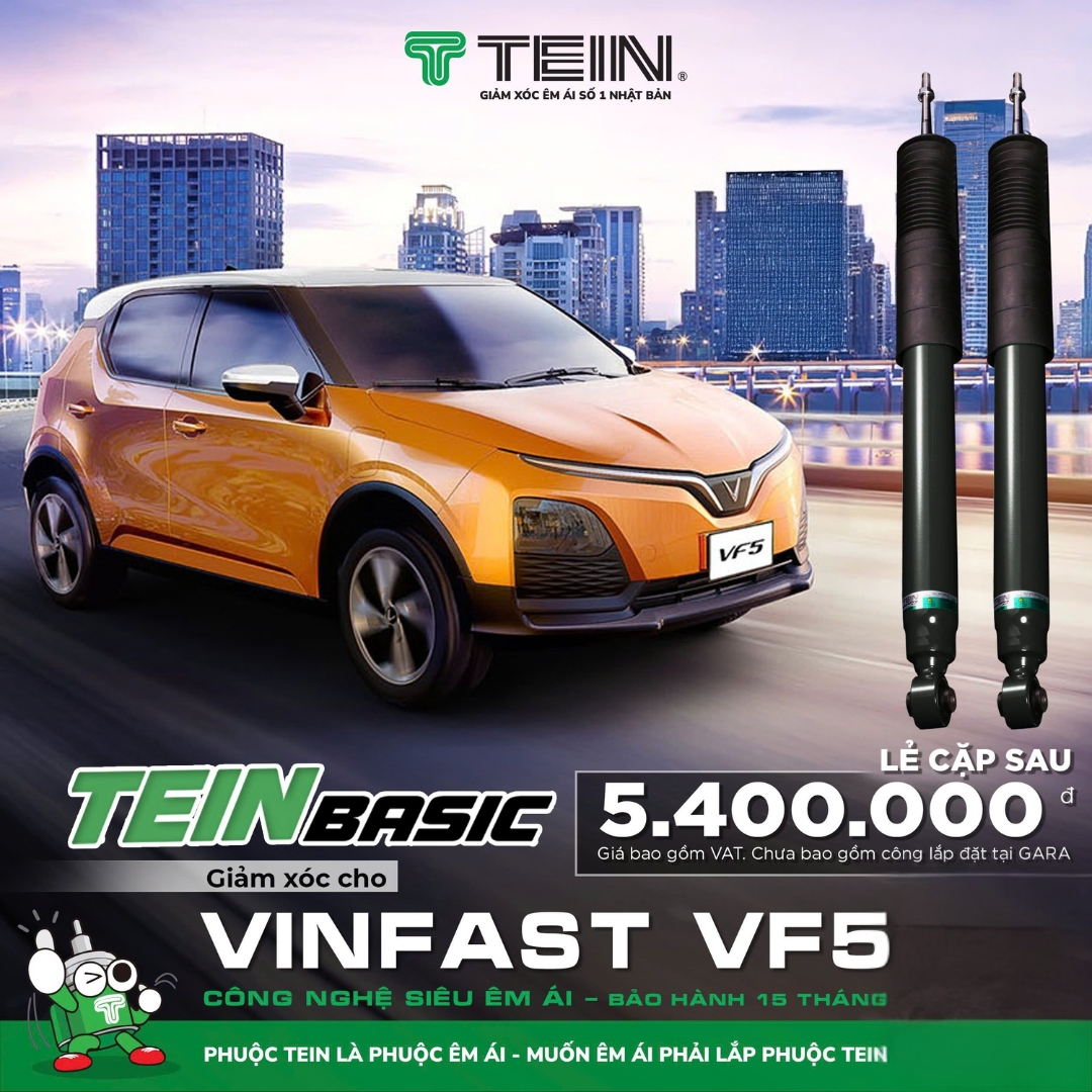 Giảm xóc ô tô Tein Basic VINFAST VF5
