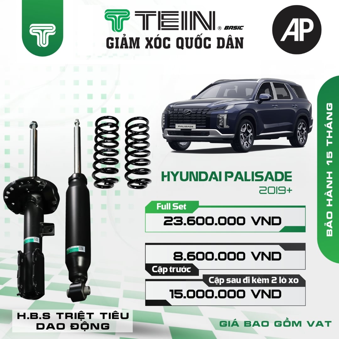 Giảm xóc ô tô Tein Basic HYUNDAI PALISADE