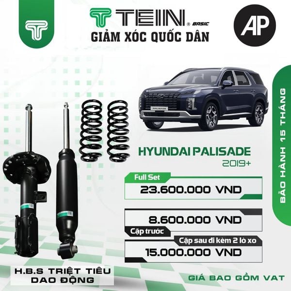 Giảm xóc ô tô Tein Basic HYUNDAI PALISADE