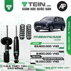 Giảm xóc ô tô Tein Basic HYUNDAI PALISADE