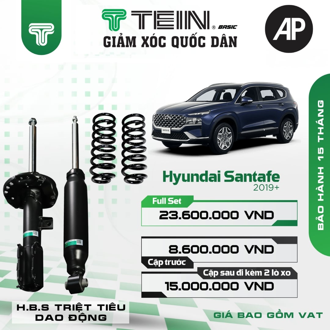 Giảm xóc ô tô Tein Basic HYUNDAI SANTAFE (2019+)