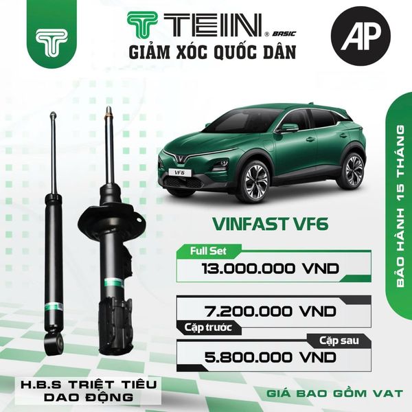 Giảm xóc ô tô Tein Basic VINFAST VF6