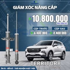 Giảm xóc ô tô Roadfit Terrytory 2022-2025