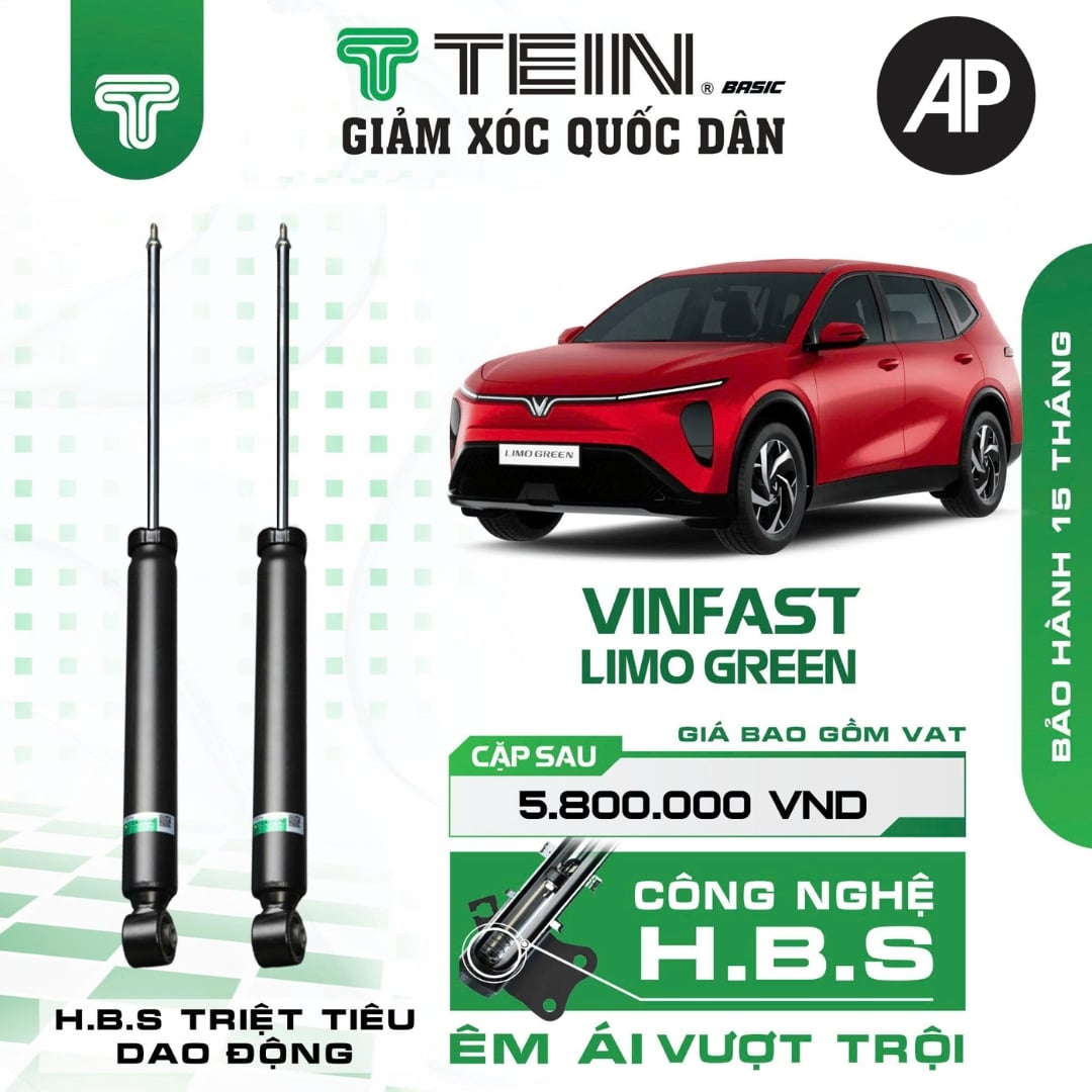 Giảm xóc ô tô Tein Basic Vinfast Limo Green