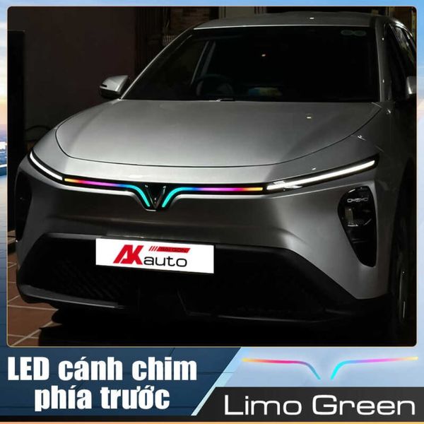Led Cánh Chim Sau - Limo Green