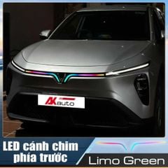 Led Cánh Chim Sau - Limo Green