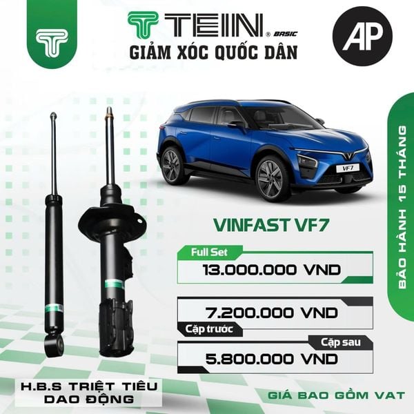 Giảm xóc ô tô Tein Basic VINFAST VF7